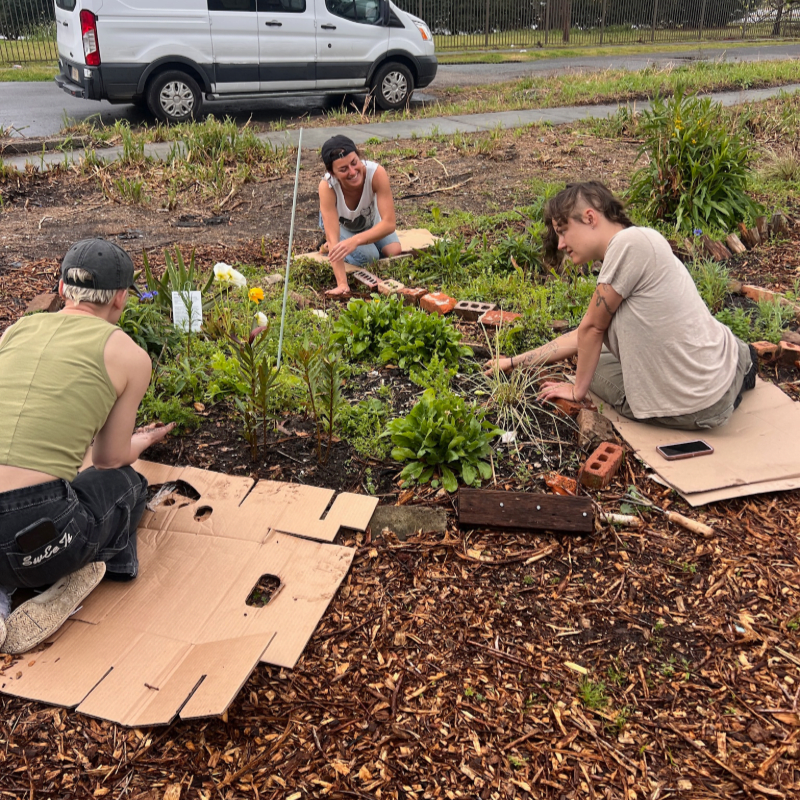Solitary Gardens Community Hours