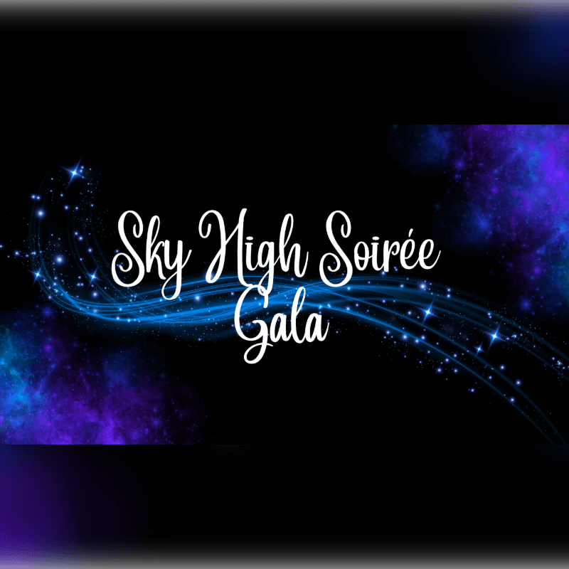 1st Annual Gala - Sky High Soirèe