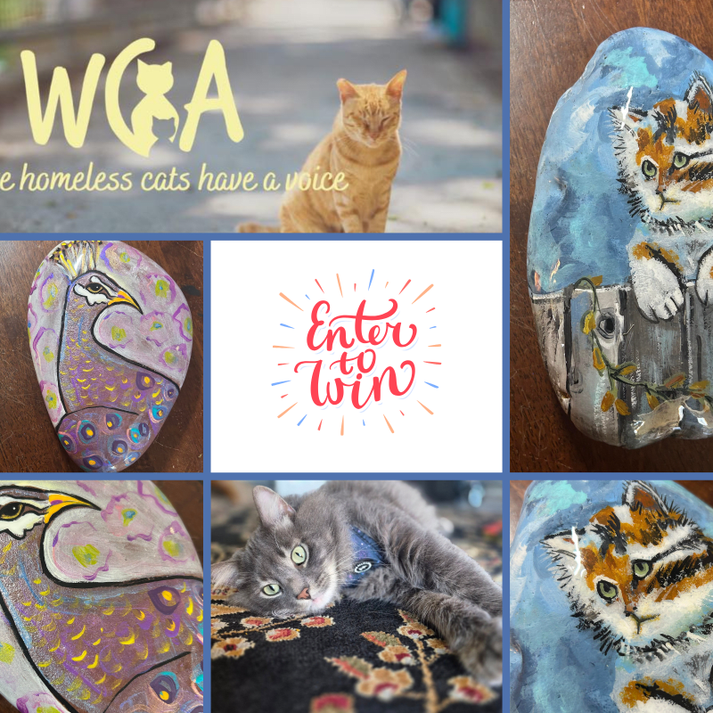Rok Raffle Online Painted Rock Raffle!