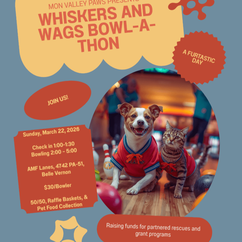 Whiskers and Wags Bowl-A-Thon
