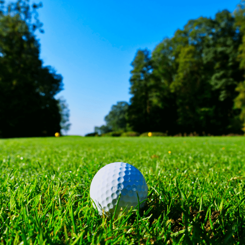 Annual Golf Tournament