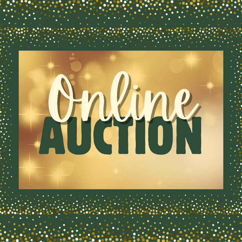 Online Auction 2026