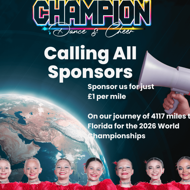 Sponsor Our Miles to Florida