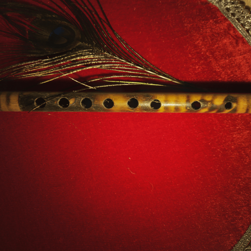 Up Close and Personal: Instruments of the Orchestra - Meet the Woodwinds!