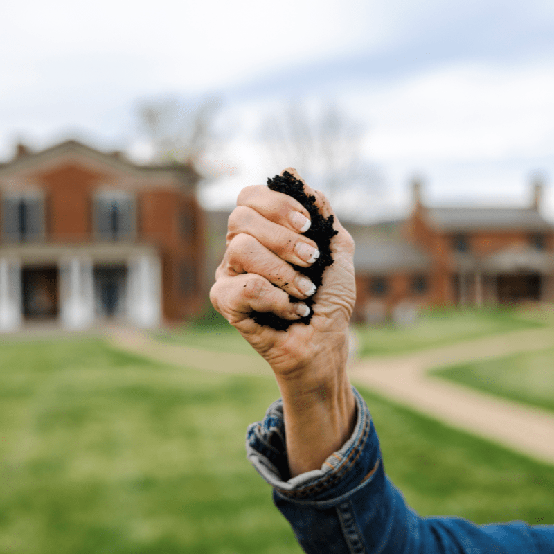 Foundations for the Future