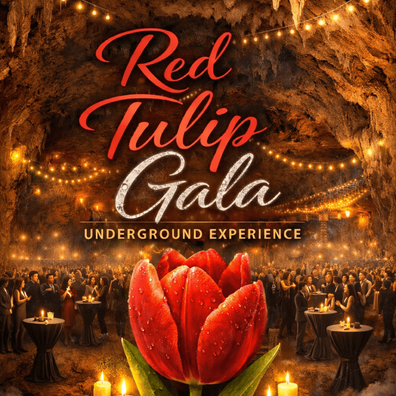 Red Tulip Gala Experience: The Underground Experience