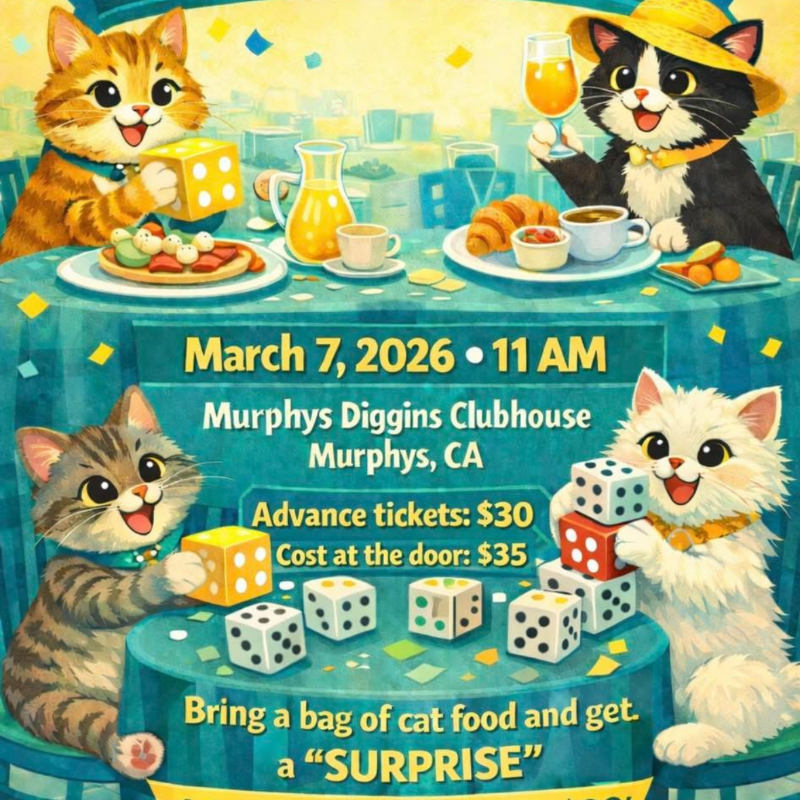 Purr and Pour Brunch Bunco