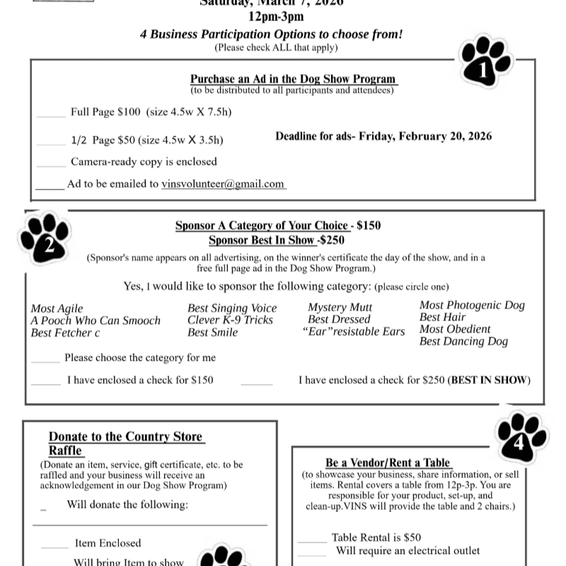 Business Options – 2026