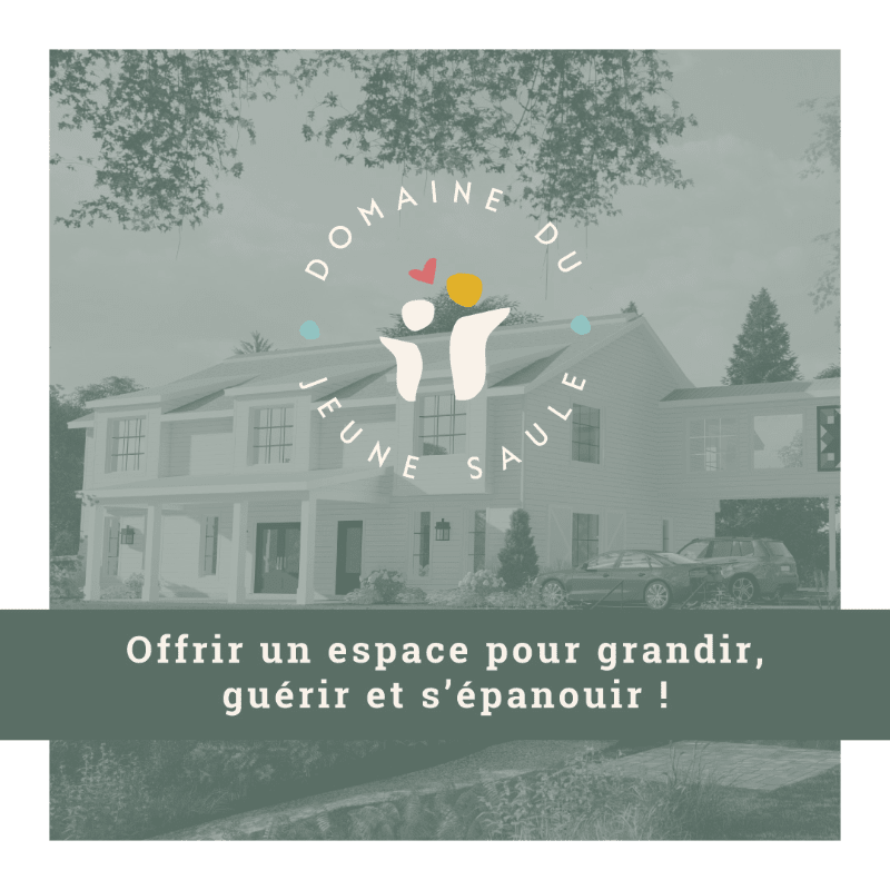 Domaine du Jeune Saule