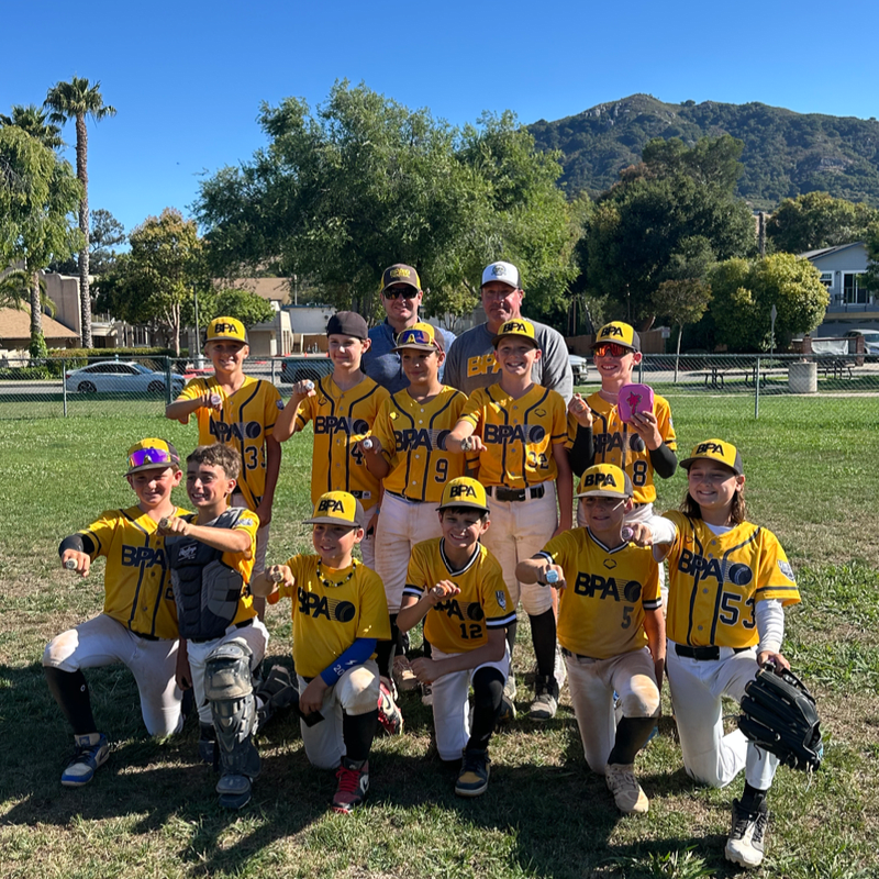 Baseball Performance Scholarship Fund Annual Fundraiser