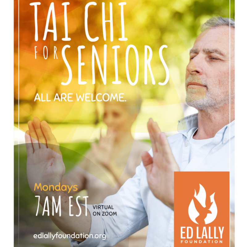 Virtual Tai Chi