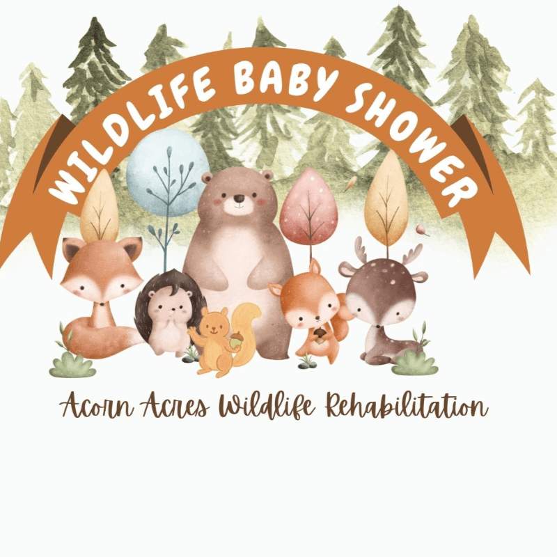 Wildlife Baby Shower