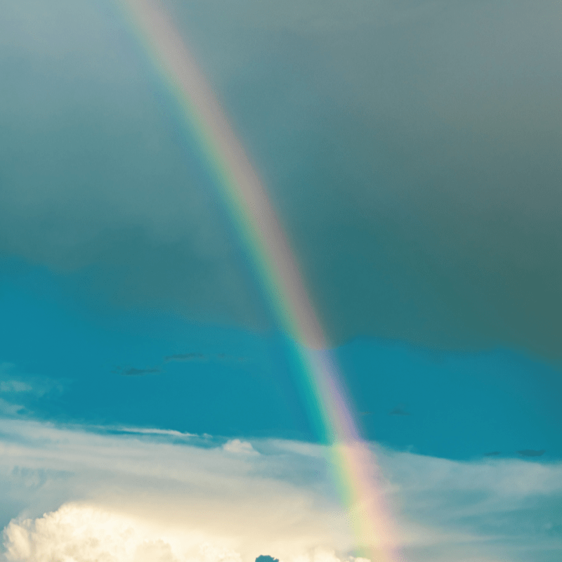 Membership Dues - The Friends of NorthKey