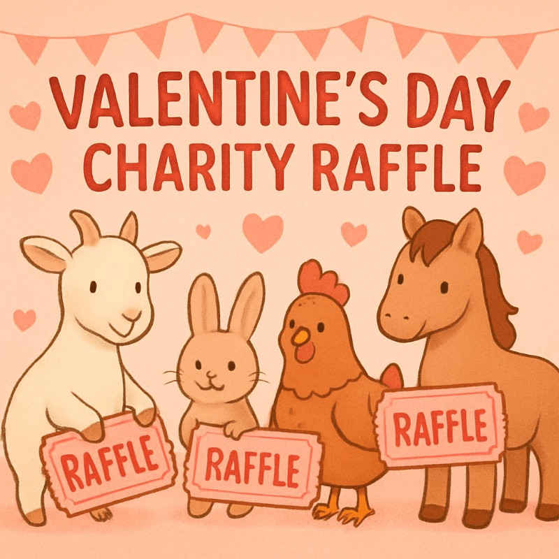 Lent Raffle Valentines Day Raffle