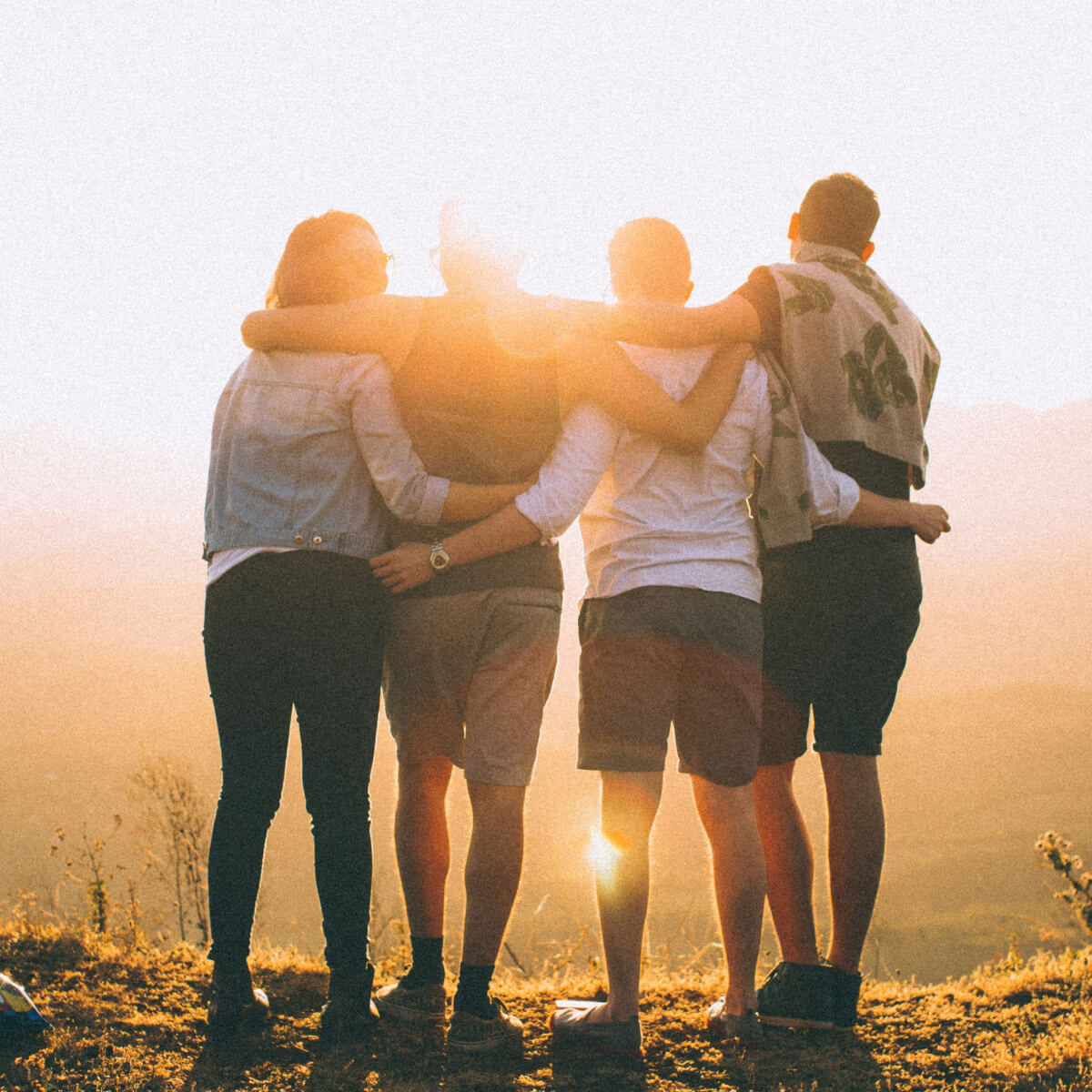 Midland Arts Association's Memberships