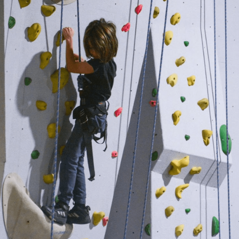 Escalade Adaptée 2026 - Catégorie "Déficience visuelle"