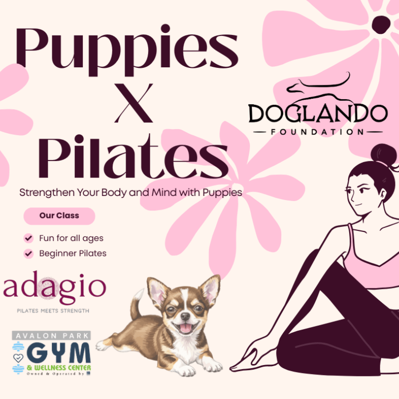 Puppies X Pilates - Feb 21