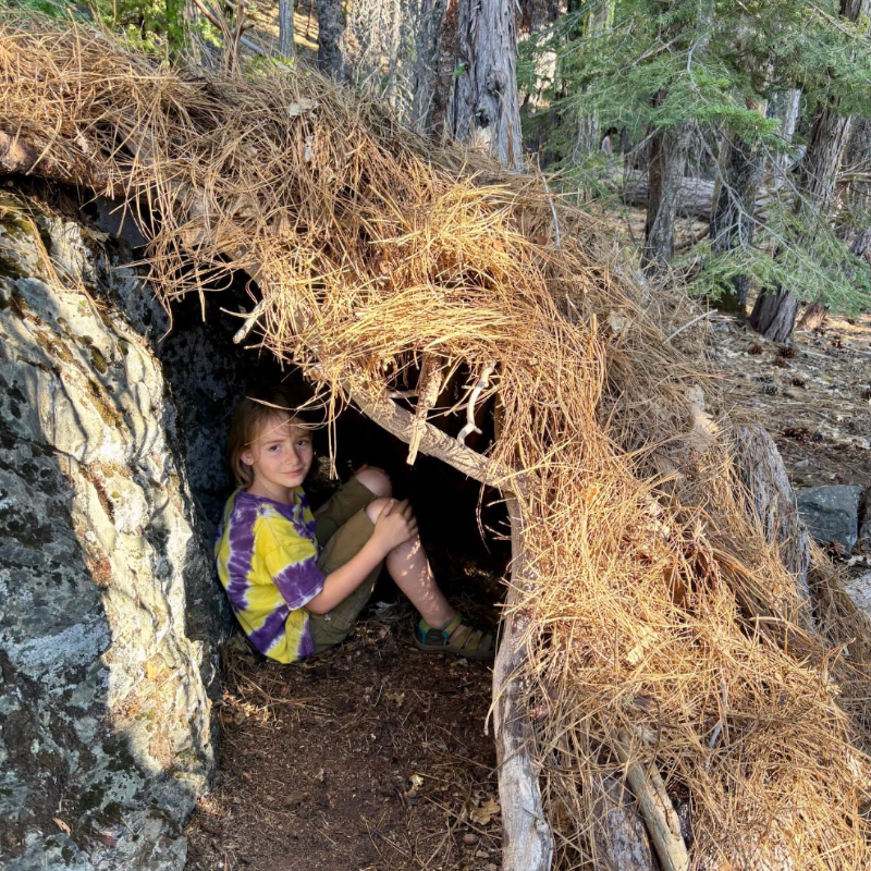 Shelter & Survival: Building a Home in the Wild