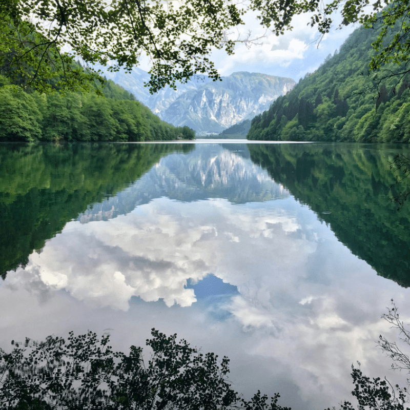 2026 Wild Game Dinner