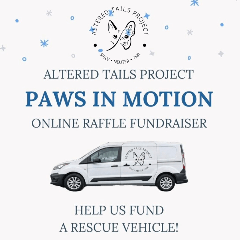 Paws in Motion Raffle Fundraiser