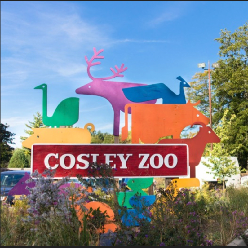 Cosley Zoo Field Trip