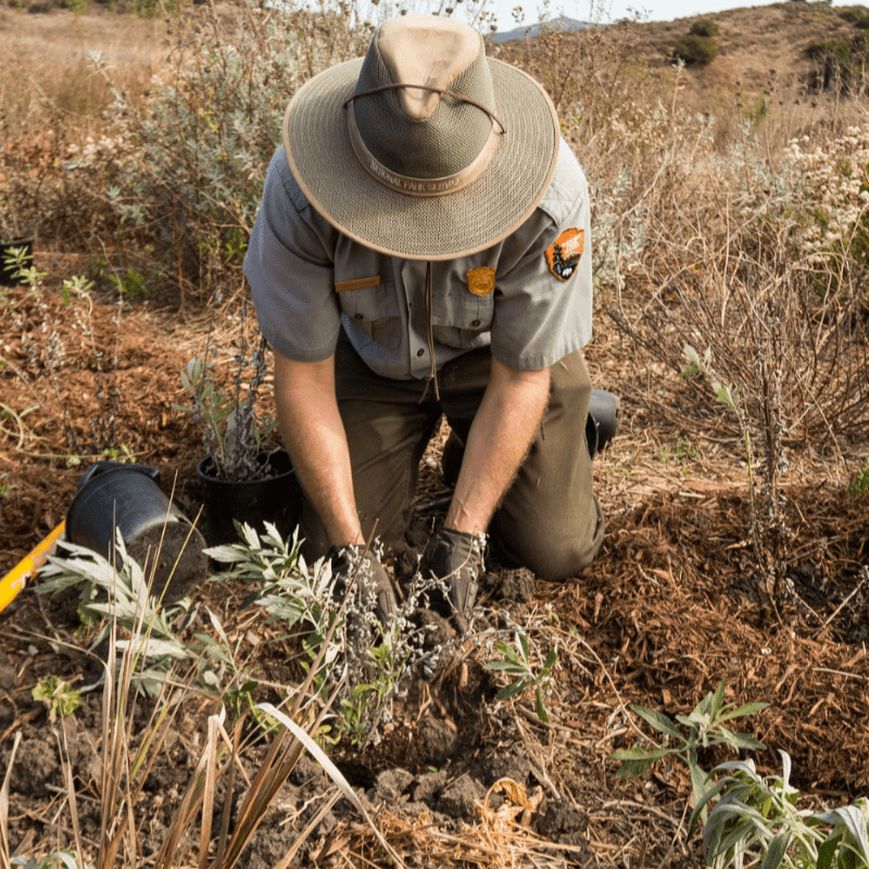 Sagawau Environmental Learning Center: Plant ID & Restoration Day