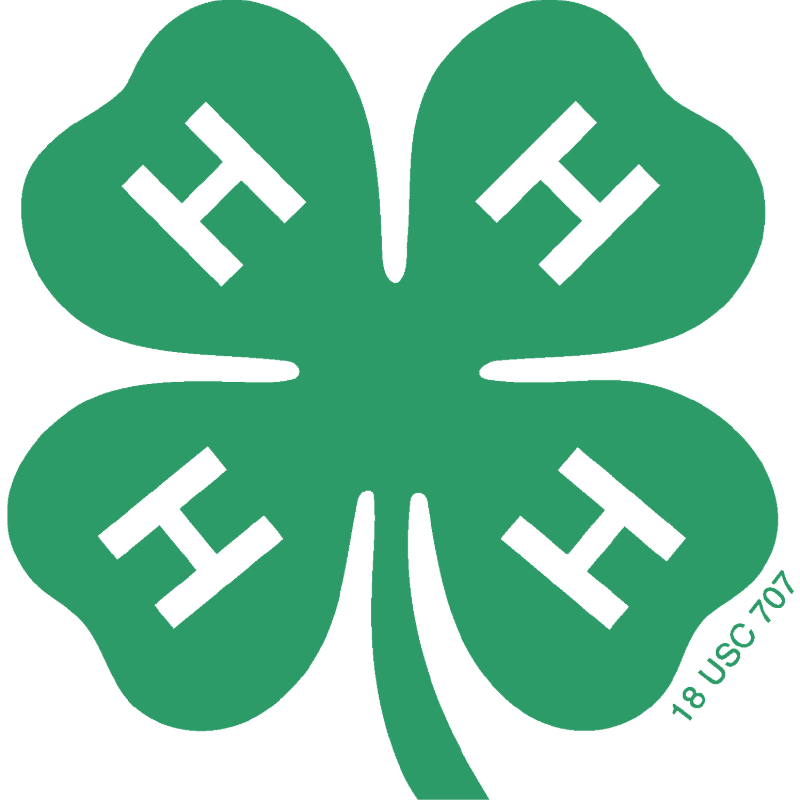 Ector County 4-H Spring Break Camp