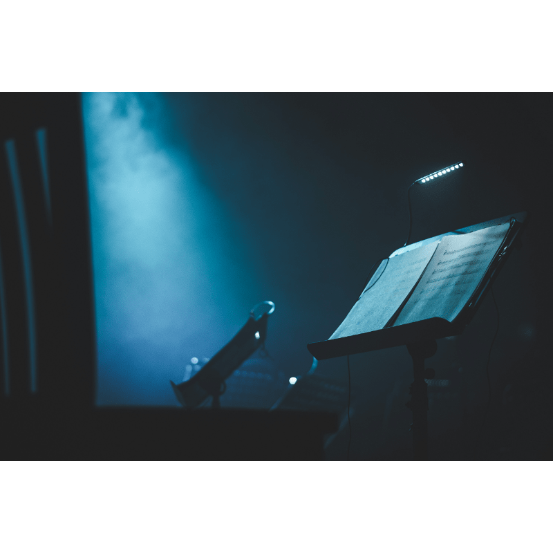 NSC Festival Support