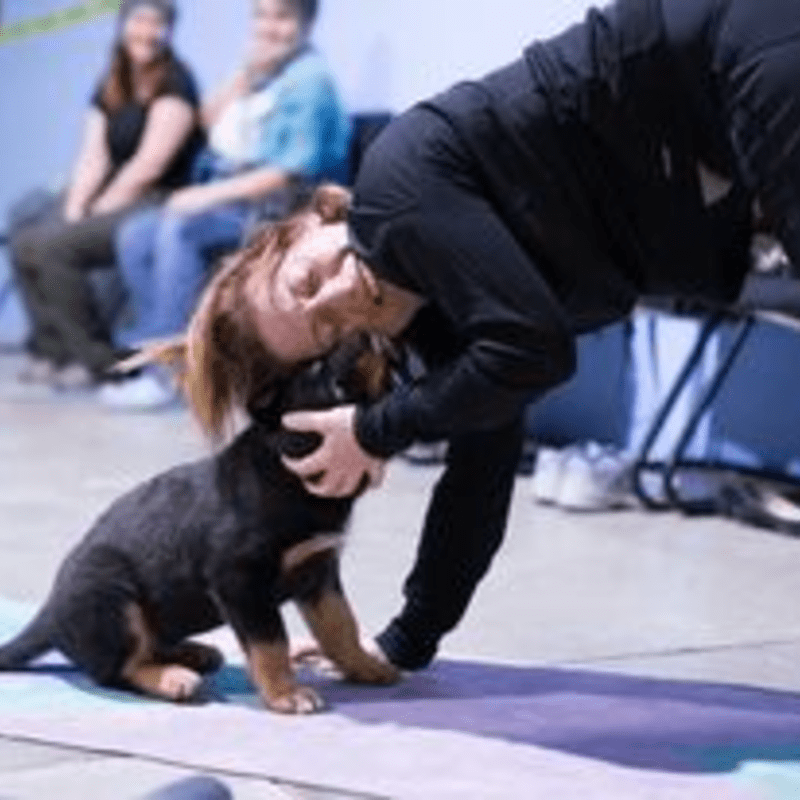Puppy Yoga