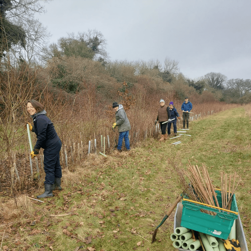 Andover Trees - Community Conservation Day - March