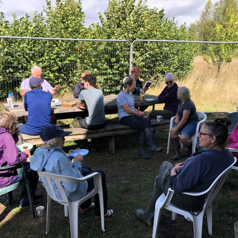 Andover Trees - Community Conservation Day - July