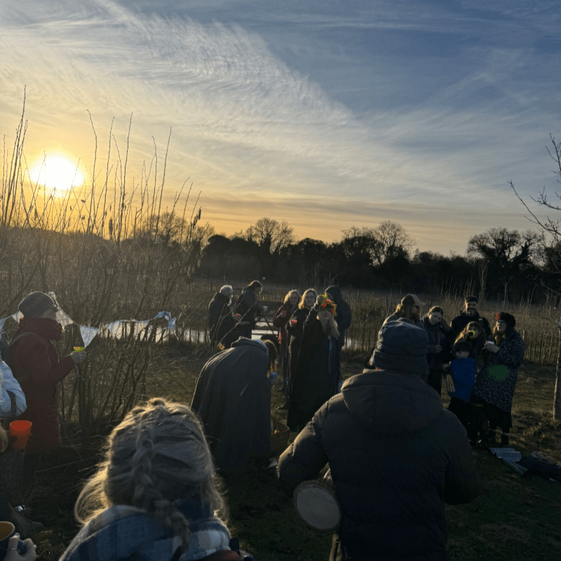 Andover Trees - Community Conservation Day - December