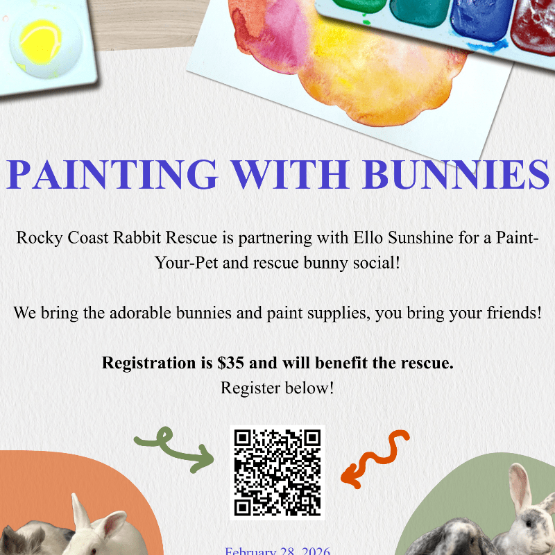 Painting with Bunnies!
