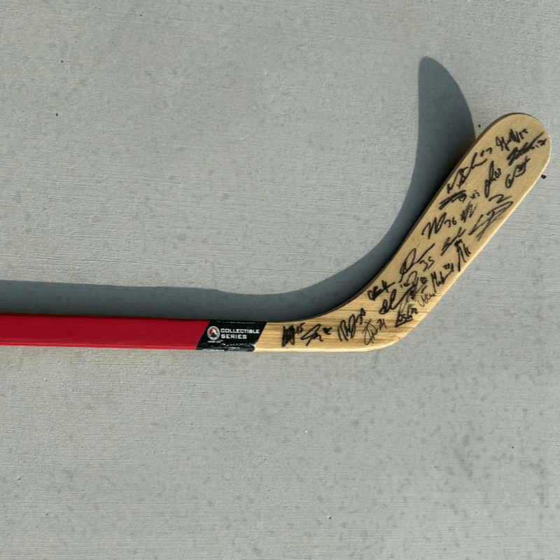 CV FIREBIRDS TEAM SIGNED HOCKEY STICK