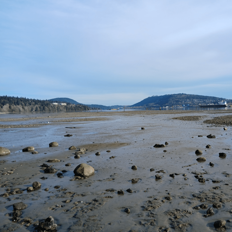 Habitat Stewardship - March 14