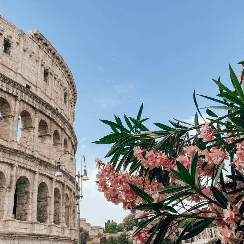 The Capitoline Club