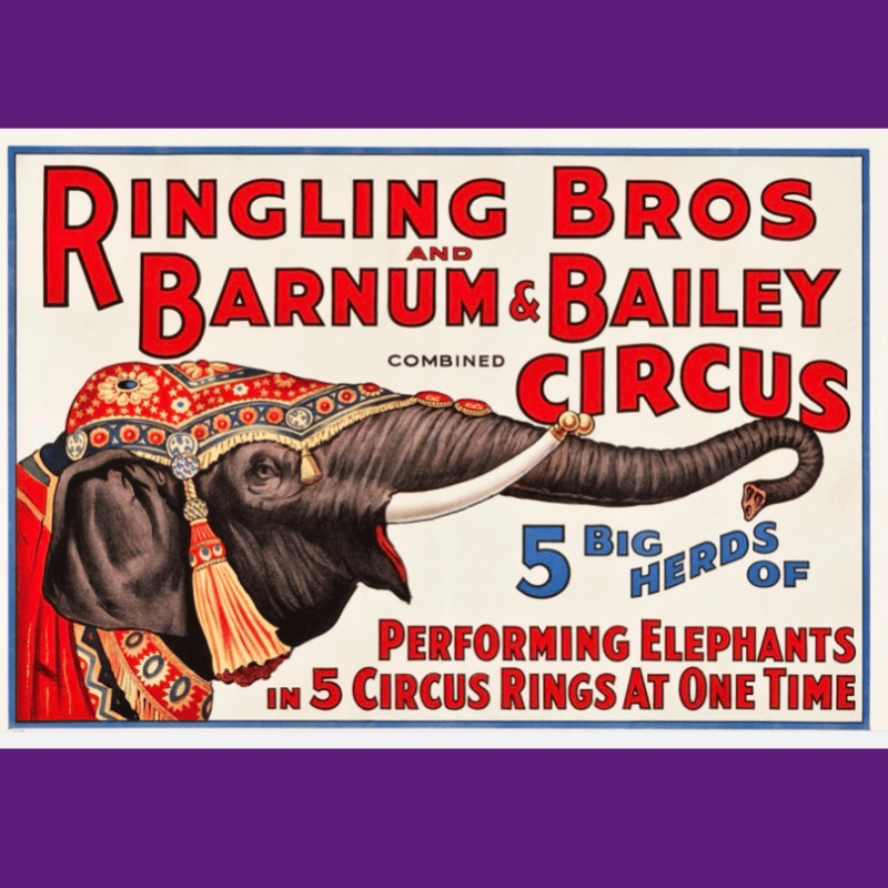 March 2026 Field Trip to The Ringling