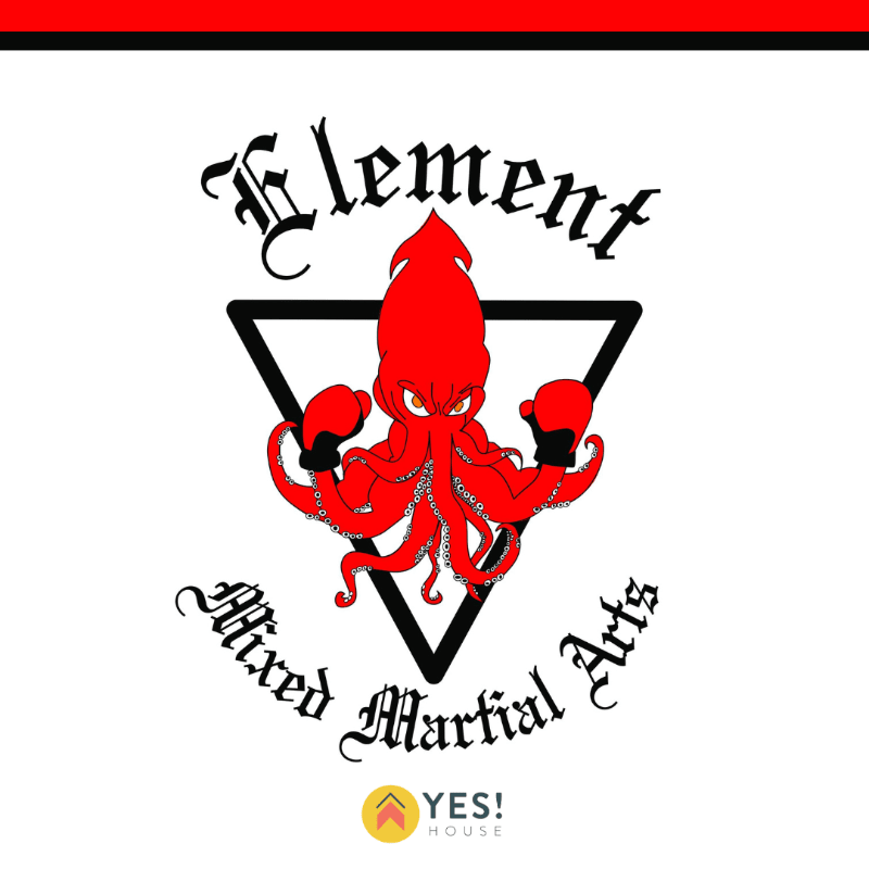 3 MONTH PACKAGE: Kids MMA | (ages 5–8)