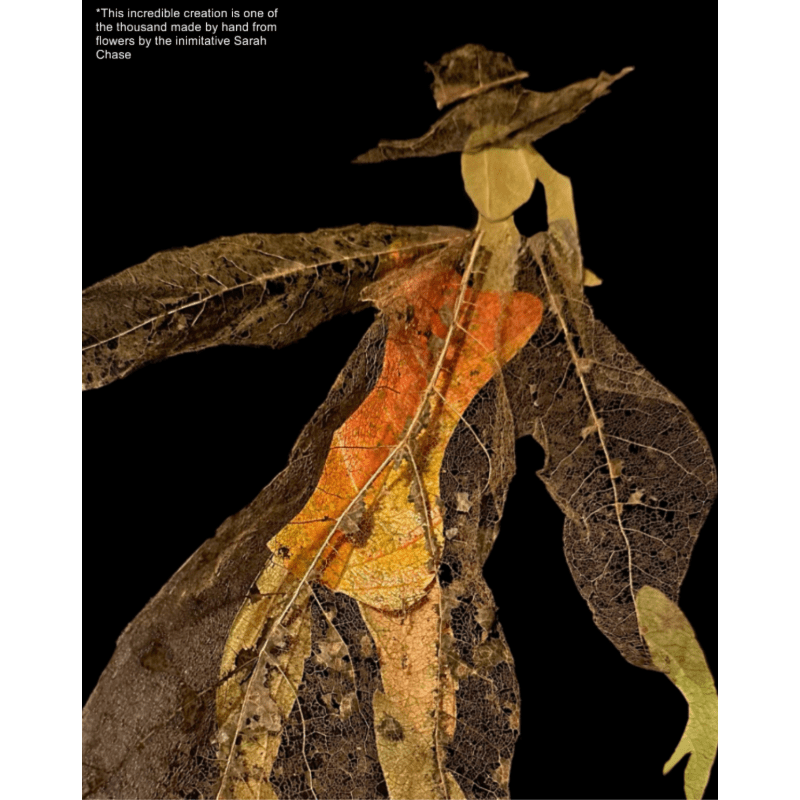 Classes w Jennifer Mascall