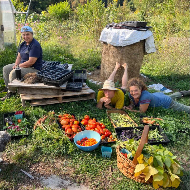 Collective Garden