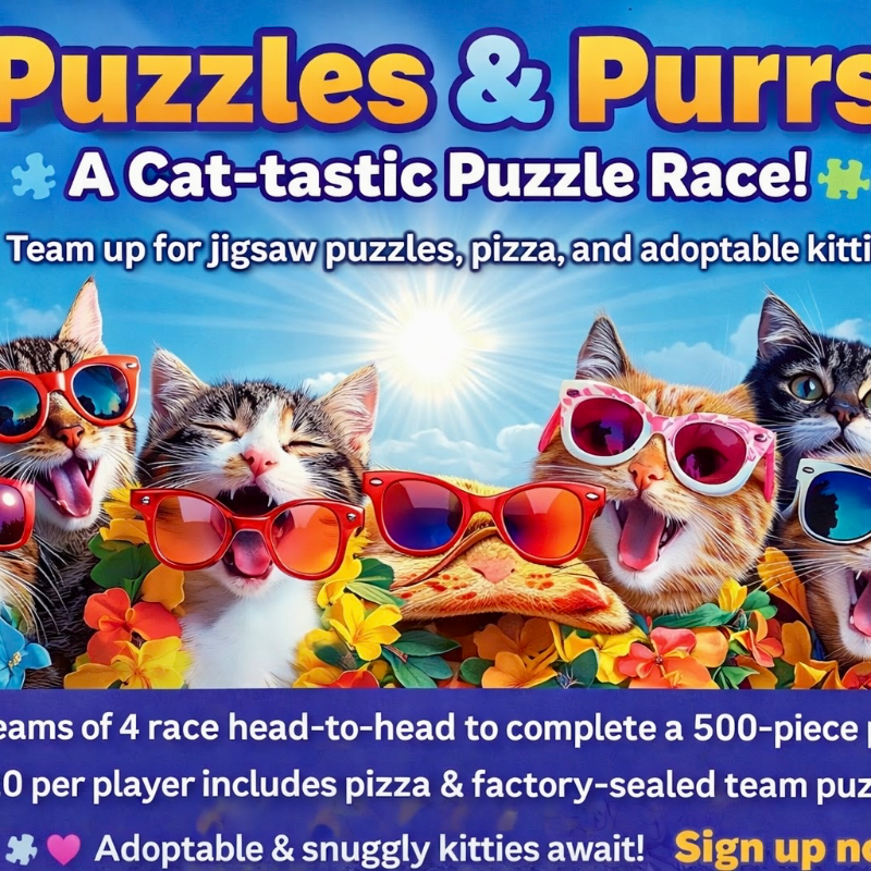 πΎπ§© Puzzles & Purrs: A Cat-tastic Puzzle Race! π§©πΎ