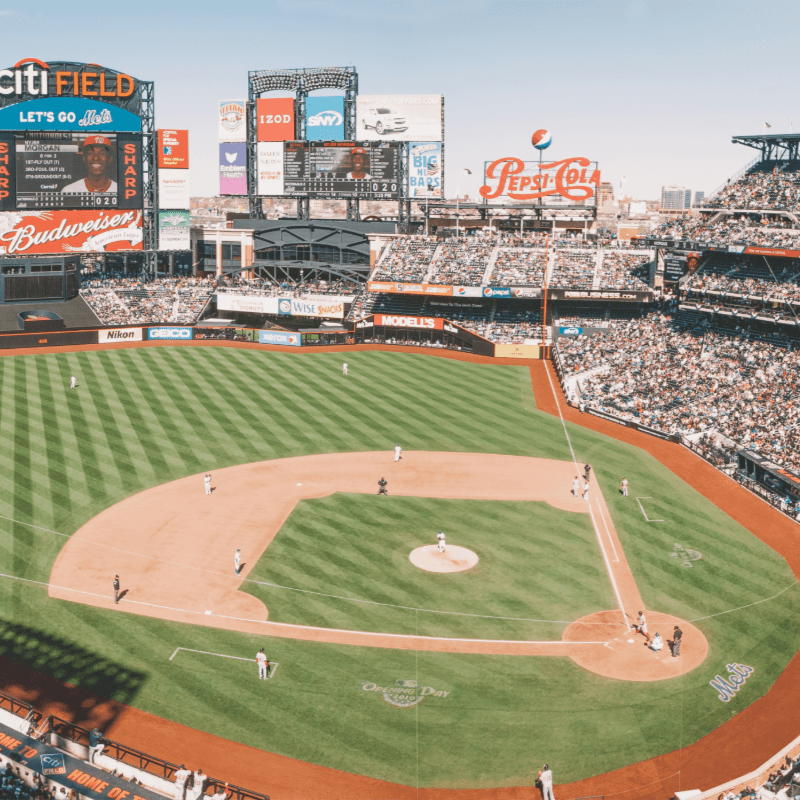 Mill Neck Center for the Deaf - Deaf Awareness Night at Citi Field