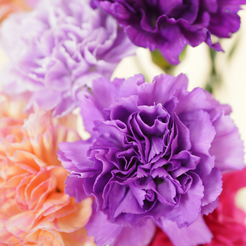 May Day Artisan & Gift Show