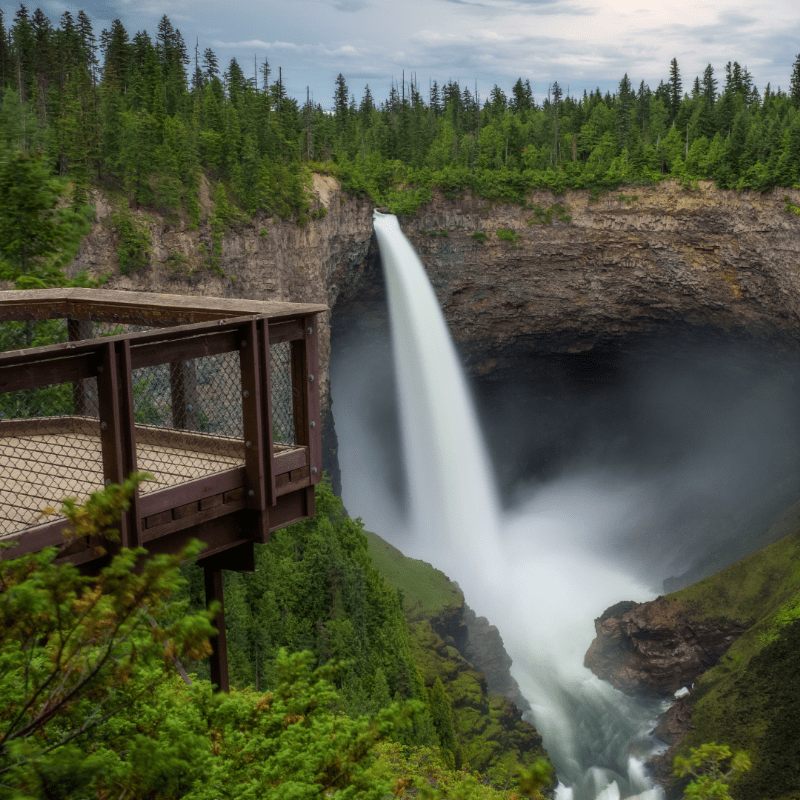 60+ Wells Gray Day Trip