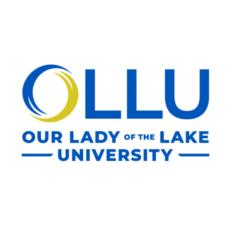 Our Lady Of The Lake University Of San Antonio's Silent Auction