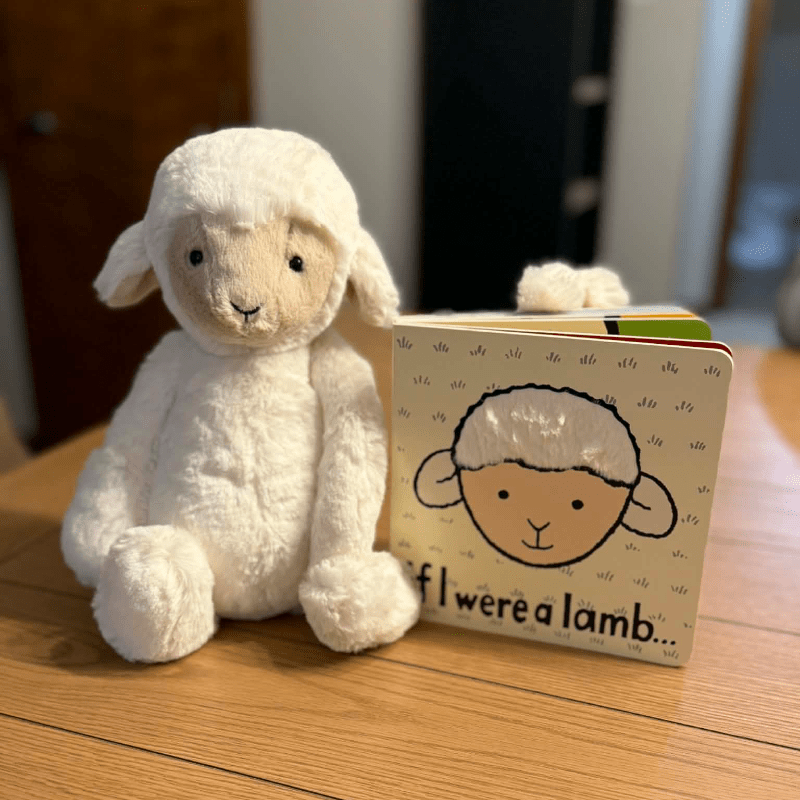 Skipson Lamb Jellycat & If I Were A Lamb Book