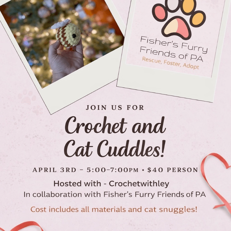 Crochet and Cat Cuddles