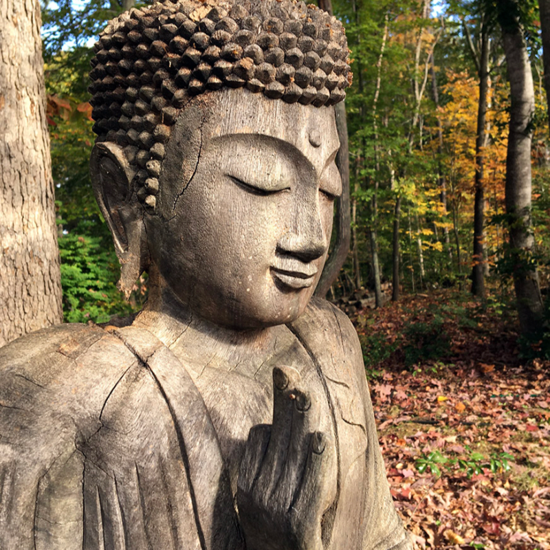 Sesshin, Zentensive & Retreat Payments