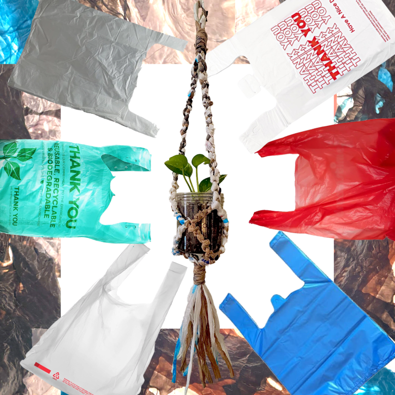 Bag Hoarders Anonymous: Crafting Plarn Plant Hangers