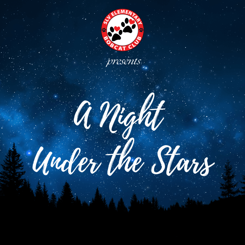 2026 Spring Auction – A Night Under the Stars